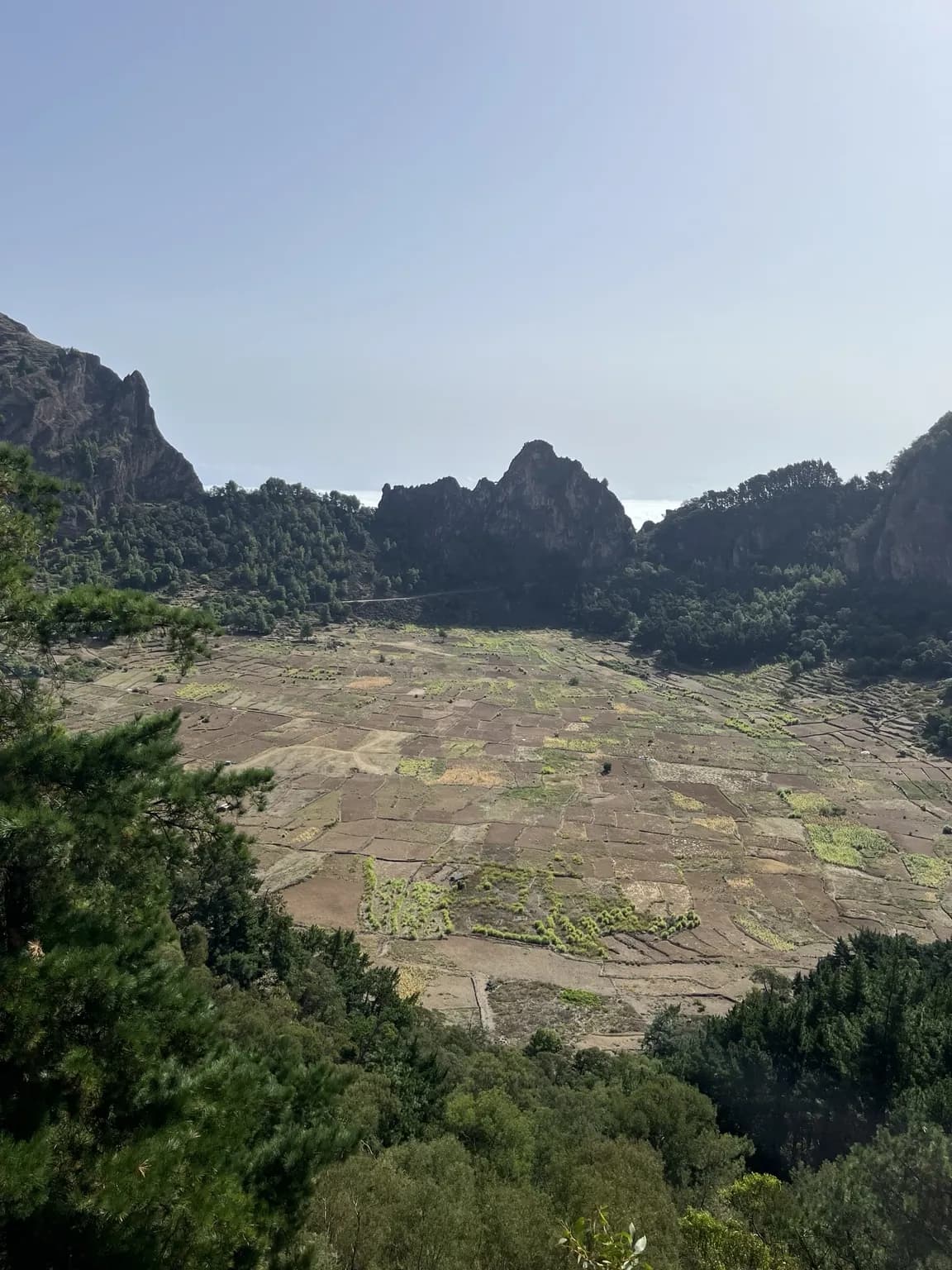 Cratera da Cova