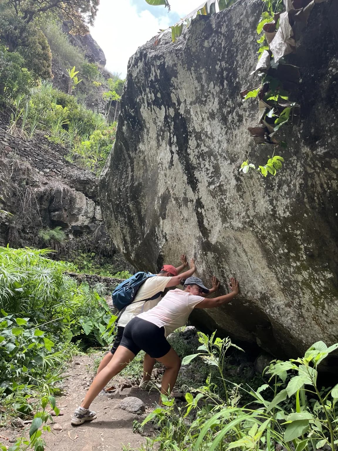 A força da natureza