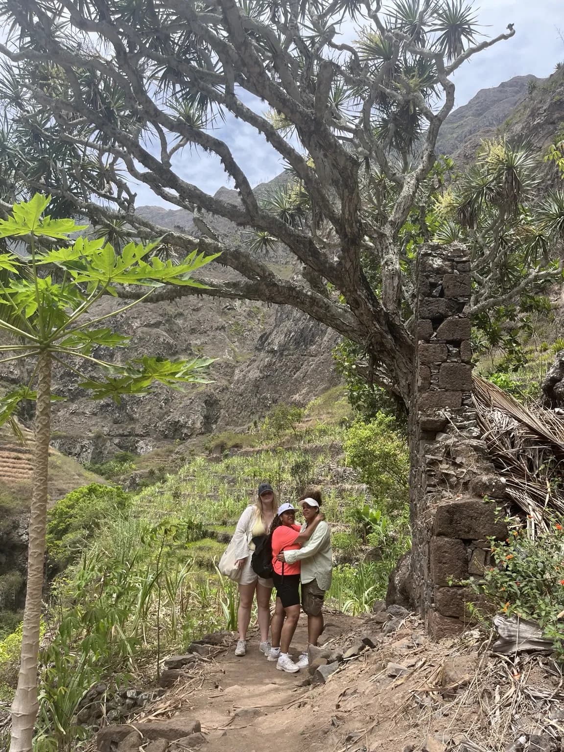 Natureza e amizade